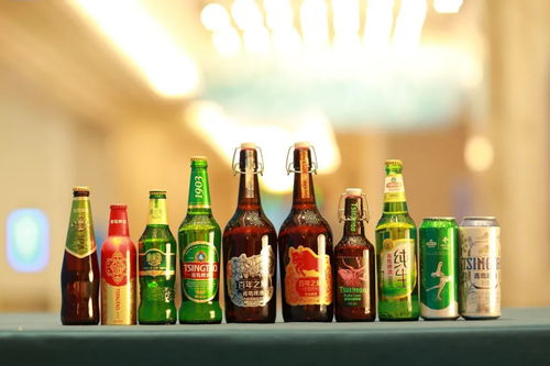 啤酒高端化 泡沫之下的贏家——北京芯詣